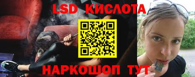 СК Новодвинск