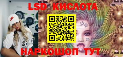 СК Новодвинск