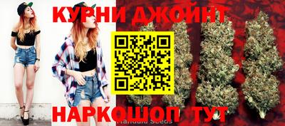 СК Новодвинск