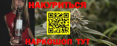 СК Новодвинск