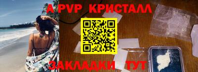 СК Новодвинск