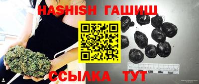 СК Новодвинск